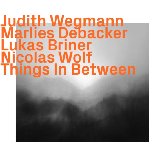 JUDITH WEGMANN / ユディト・ヴェグマン / THINGS IN BETWEEN
