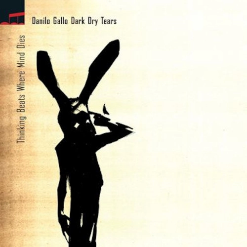 DANILO GALLO / ダニーロ・ガッロ / THINKING BEATS WHERE MIND DIES