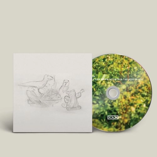 DRAGON NEW WARM MOUNTAIN I BELIEVE IN YOU (LP) / BIG THIEF