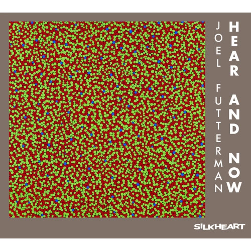 JOEL FUTTERMAN / ジョエル・フッターマン / HEAR AND NOW