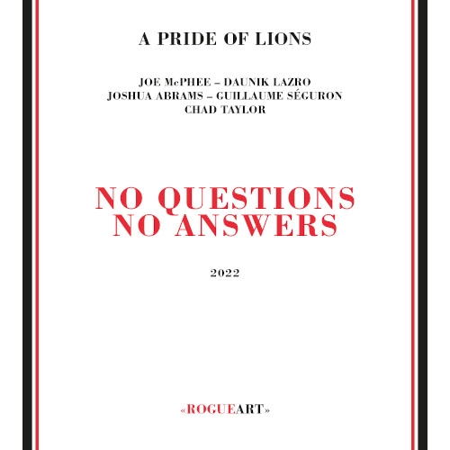 JOE MCPHEE / ジョー・マクフィー / No Questions No Answers