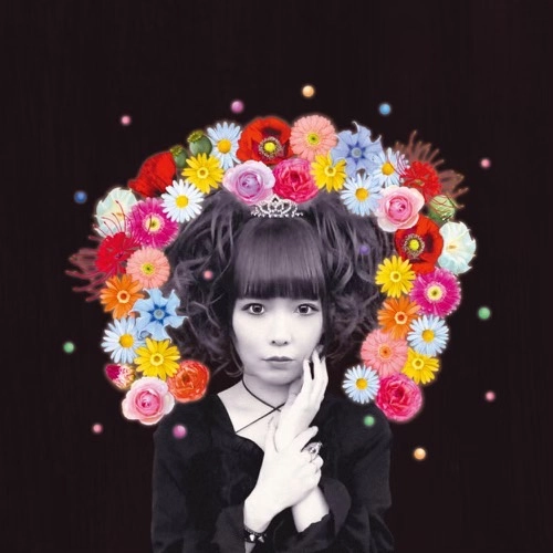 経血 / kankai