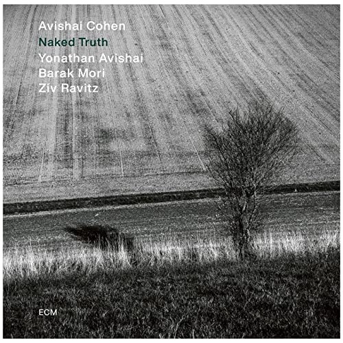 AVISHAI COHEN (TRUMPET) / アヴィシャイ・コーエン / NAKED TRUTH (LP)