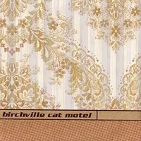 BIRCHVILLE CAT MOTEL / SWARMING TAMAGOTCHI PLAGUE