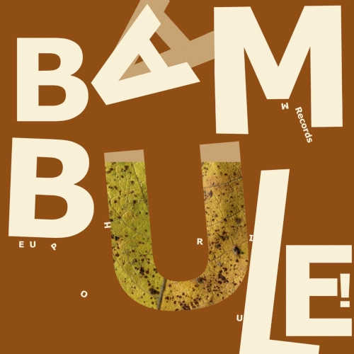 BIG BAD BROTZMANN QUINTET / BAMBULE!