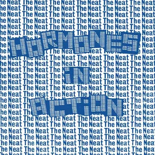 NEAT (PUNK) / HORMONES IN ACTION (7")