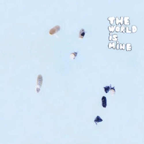 QURULI / くるり / WORLD IS MINE