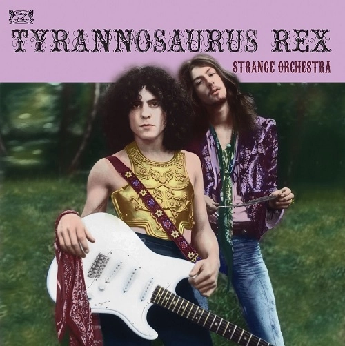 TYRANNOSAURUS REX / ティラノザウルス・レックス / ストレンジ･オーケストラ