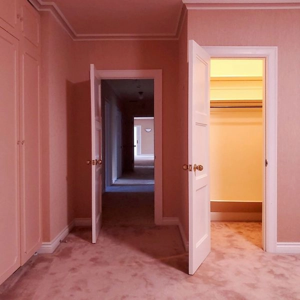 EMPATH / エンパス / VISITOR (COLORED LP)