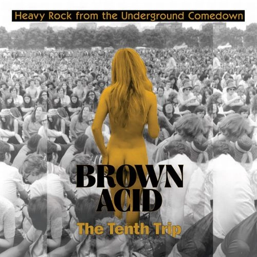 V.A. (BROWN ACID) / BROWN ACID: THE TENTH TRIP / BROWN ACID: THE TENTH TRIP (LP)