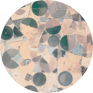 FOREST DRIVE WEST / RECURSION EP / RECURSION EP 