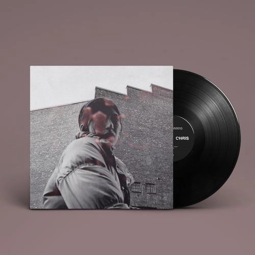 ALDOUS HARDING / オルダス・ハーディング / WARM CHRIS(LP)