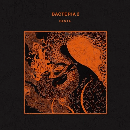 PANTA / パンタ / BACTERIA 2