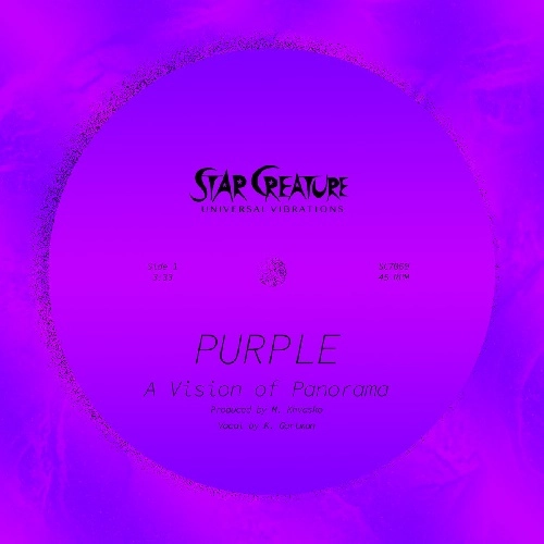 VISION OF PANORAMA / PURPLE