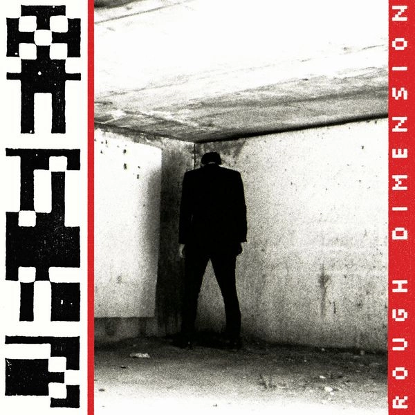 VR SEX / ROUGH DIMENSION (LP - BLACK)