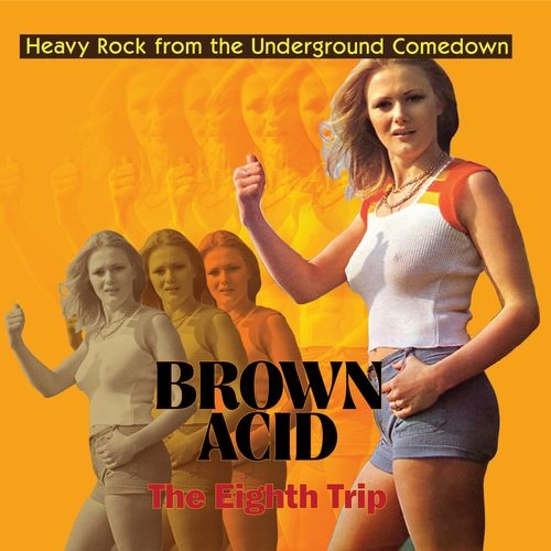V.A. (BROWN ACID) / BROWN ACID: THE EIGHT TRIP / BROWN ACID: THE EIGHT TRIP (LP)