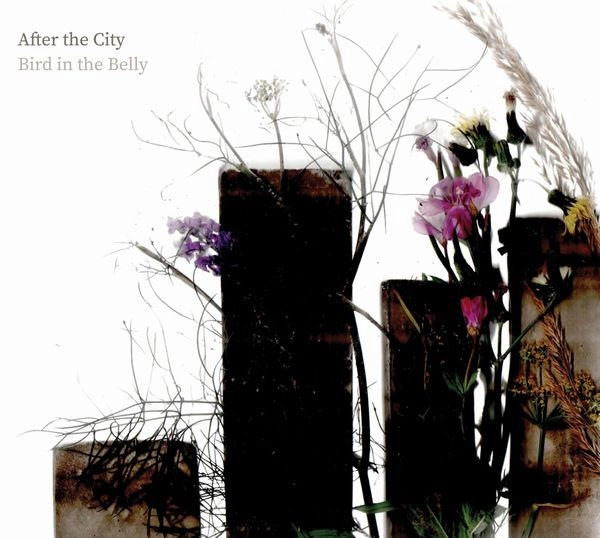 BIRD IN THE BELLY / AFTER THE CITY