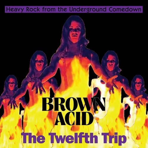 V.A. (BROWN ACID) / BROWN ACID: THE TWELVETH TRIP / BROWN ACID: THE TWELVETH TRIP (CD)
