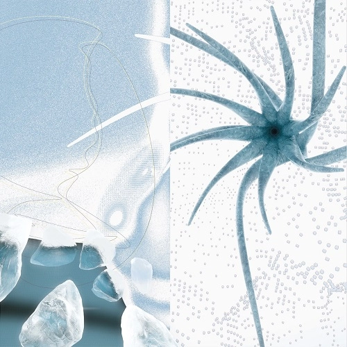 MIND OVER MIDI / ARCTIC BEATS 2