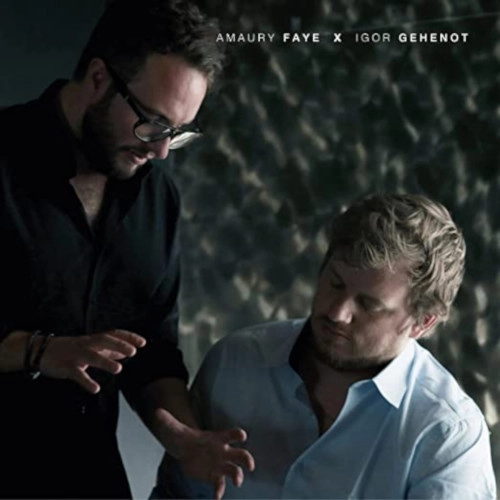AMAURY FAYE & IGOR GEHENOT / AMAURY FAYE & IGOR GEHENOT