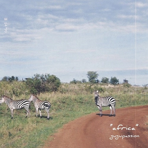 GUGUPASSION / AFRICA