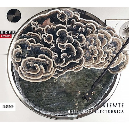 NIEWTE / ニエウテ / OSMETNICA ELECTRONICA