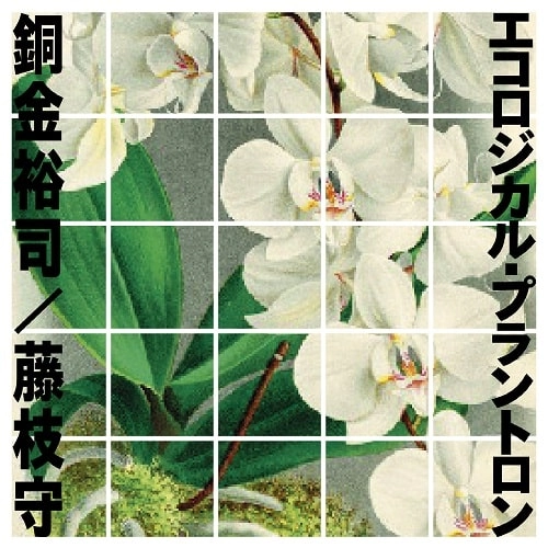 銅金裕司/藤枝守 / エコロジカル･プラントロン（CD）