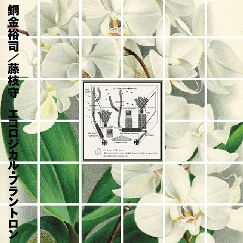 銅金裕司/藤枝守 / エコロジカル･プラントロン（LP）