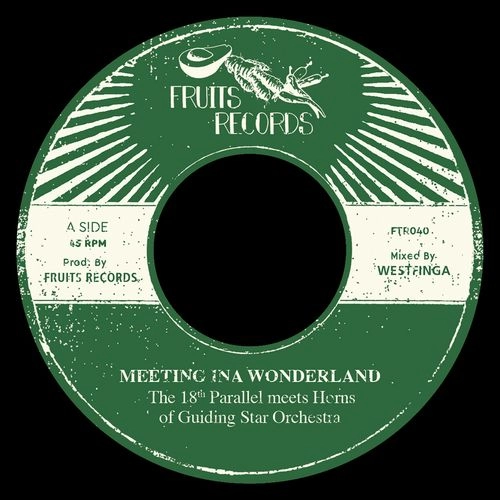 HORNS OF GUIDING STAR ORCHESTRA & THE 18TH PARALLEL / MEETING INA WONDERLAN