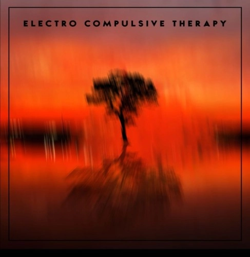 ELECTRO COMPULSIVE THERAPY / ELECTRO COMPULSIVE THERAPY
