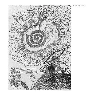 BEISPIEL / バイシュピール (JAN JELINEK+FRANK BRETSCHNEIDER) / MUSTER