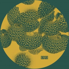 UNKNOWN ARTIST / PP 003