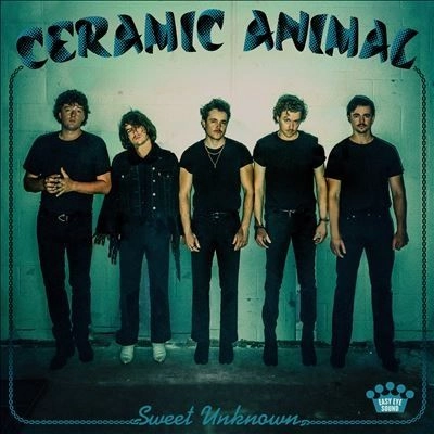 CERAMIC ANIMAL / セラミック・アニマル / SWEET UNKNOWN [LP]