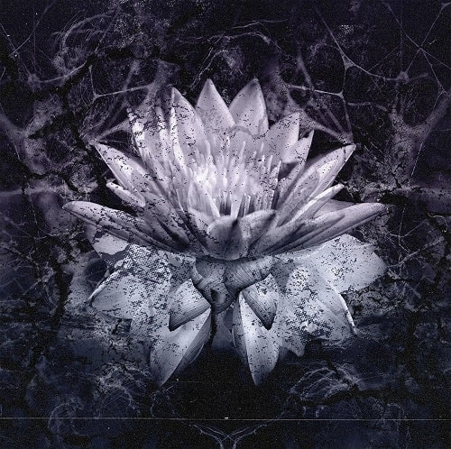 SOILED HATE / Nine Billion Names Of Hate