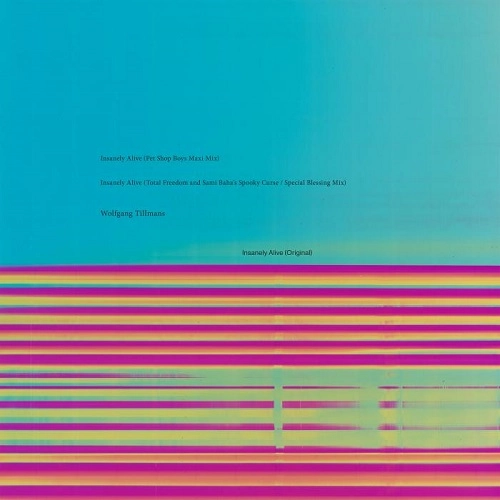 WOLFGANG TILLMANS / INSANELY ALIVE -PET SHOP BOYS, TOTAL FREEDOM REMIX