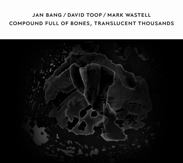 JAN BANG / DAVID TOOP / MARK WASTELL / COMPOUND FULL OF BONES, TRANSLUCENT THOUSANDS