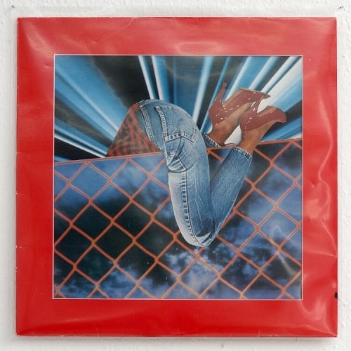V.A. (COMPOST DISCO) / 12 COMPOST DISCO YEARS (2LP)