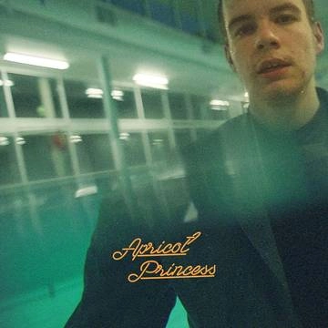 REX ORANGE COUNTY / レックス・オレンジ・カウンティ / APRICOT PRINCESS [LP]