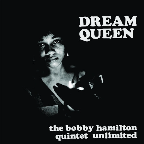 BOBBY HAMILTON / ボビー・ハミルトン / DREAM QUEEN (LP)