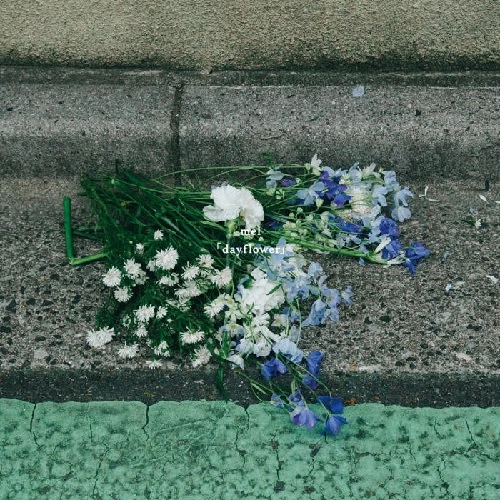 mel / dayflower