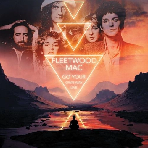 FLEETWOOD MAC / フリートウッド・マック / GO YOUR OWN WAY (10CD) / GO YOUR OWN WAY