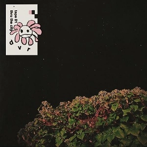 dvr / TAPE 01 + THRU THE CITY