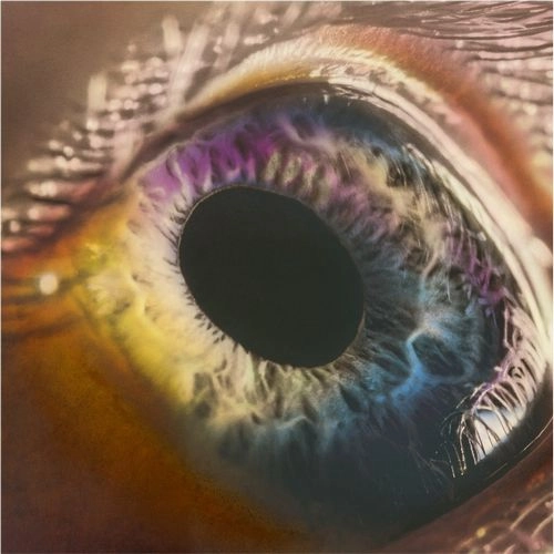 ARCADE FIRE / アーケイド・ファイア / ウィ / WE