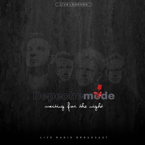 DEPECHE MODE / デペッシュ・モード / WAITING FOR THE NIGHT (2LP) / WAITING FOR THE NIGHT