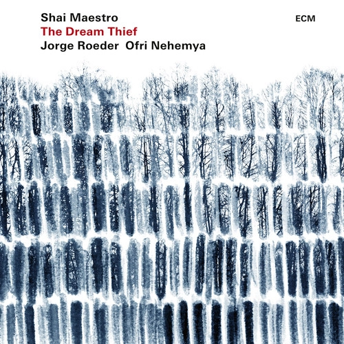 SHAI MAESTRO / シャイ・マエストロ / ドリーム・シーフ / DREAM THIEF