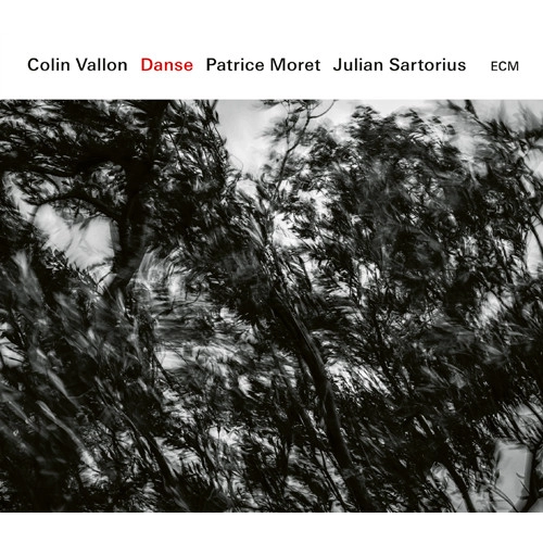 COLIN VALLON / コリン・ヴァロン / ダンス / DANSE