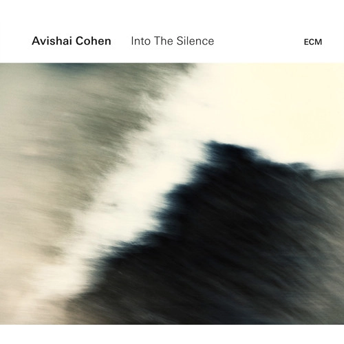 AVISHAI COHEN (BASS) / アヴィシャイ・コーエン / イントゥ・ザ・サイレンス / INTO THE SILENCE