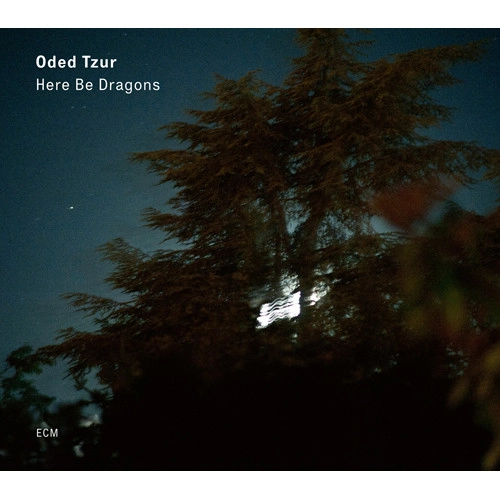 ODED TZUR / オデッド・ツール / ヒア・ビー・ドラゴンズ / HERE BE DRAGONS