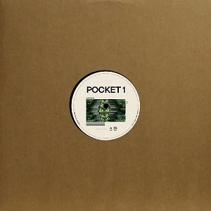 V.A. (POCKETMOTH) / POCKET 1