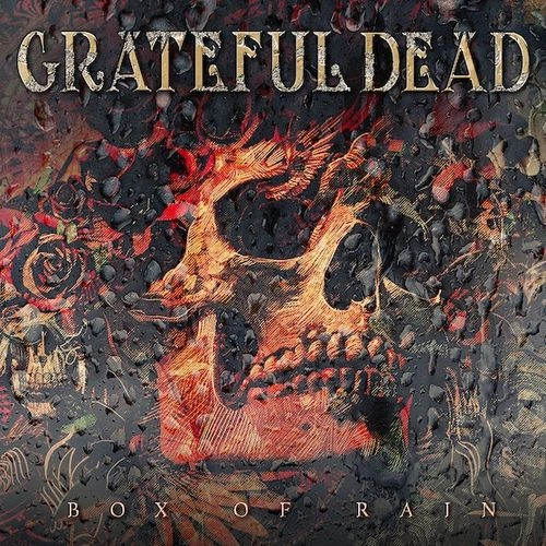 GRATEFUL DEAD / グレイトフル・デッド / BOX OF RAIN (10CD) / BOX OF RAIN